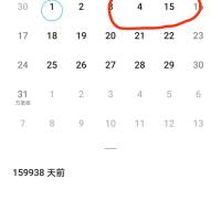 专业策略研究