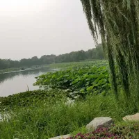 王羲之