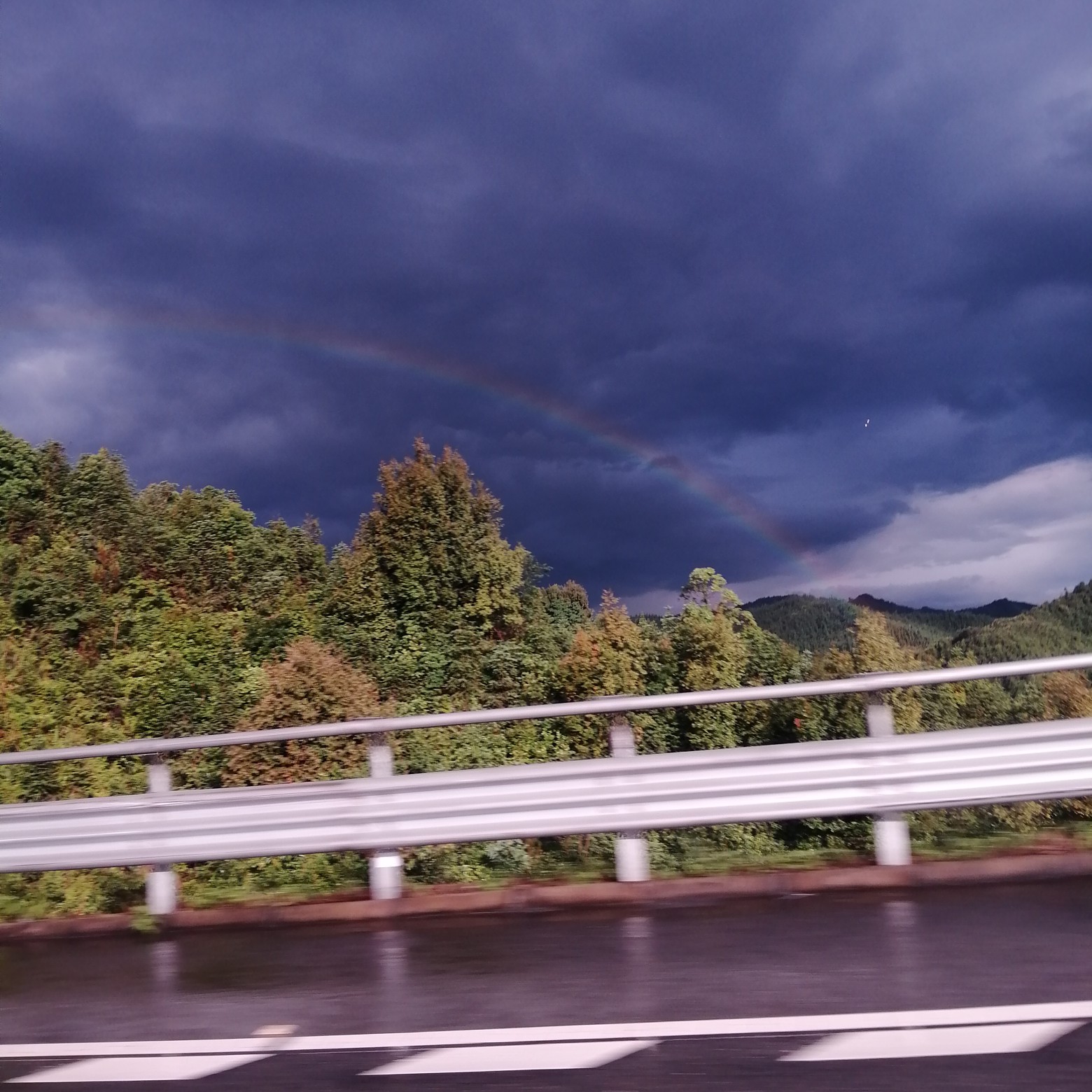 雨食