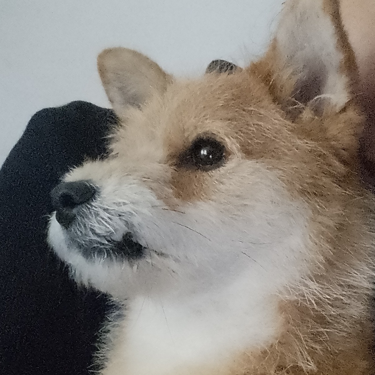摆脱交易泥淖