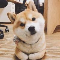 从小爆仓
