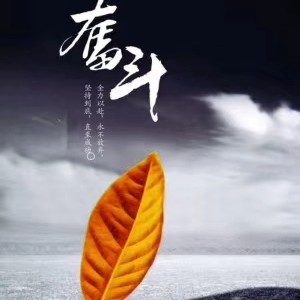 重燃，飞扬