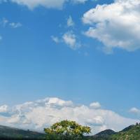 价格行为交易法