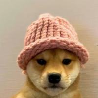 90后失业的暴走交易员