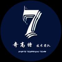 奇高特技术团队
