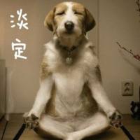 伯虎点蚊香