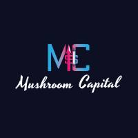 Mr Mushroom
