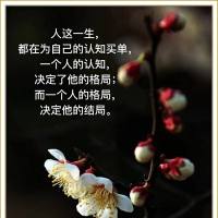 入尘26