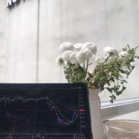 庐山小童