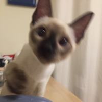 高高兴兴的小李