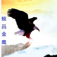 蛟邑金鹰