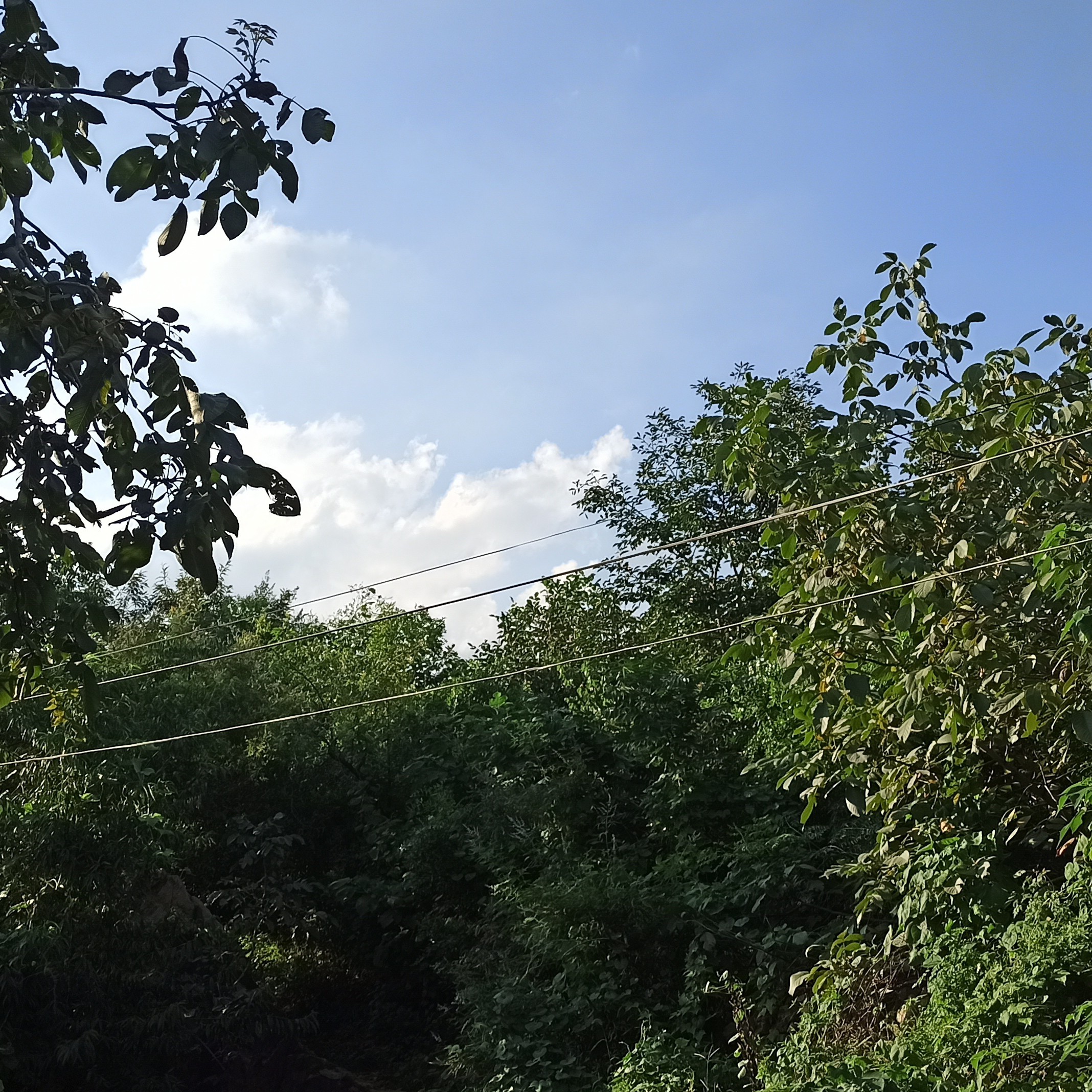 米东曦