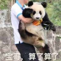 新的开始2020