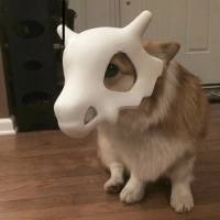屋大威崛起之路