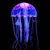 pinkjelly