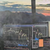 管先生交易量化