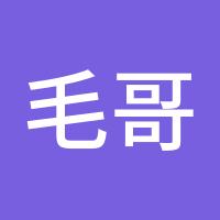 毛哥27