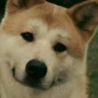 芜湖起飞