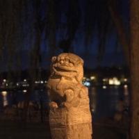 爆仓老样子