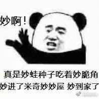 七里橙光