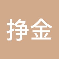 挣金夺银