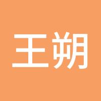 王朔金