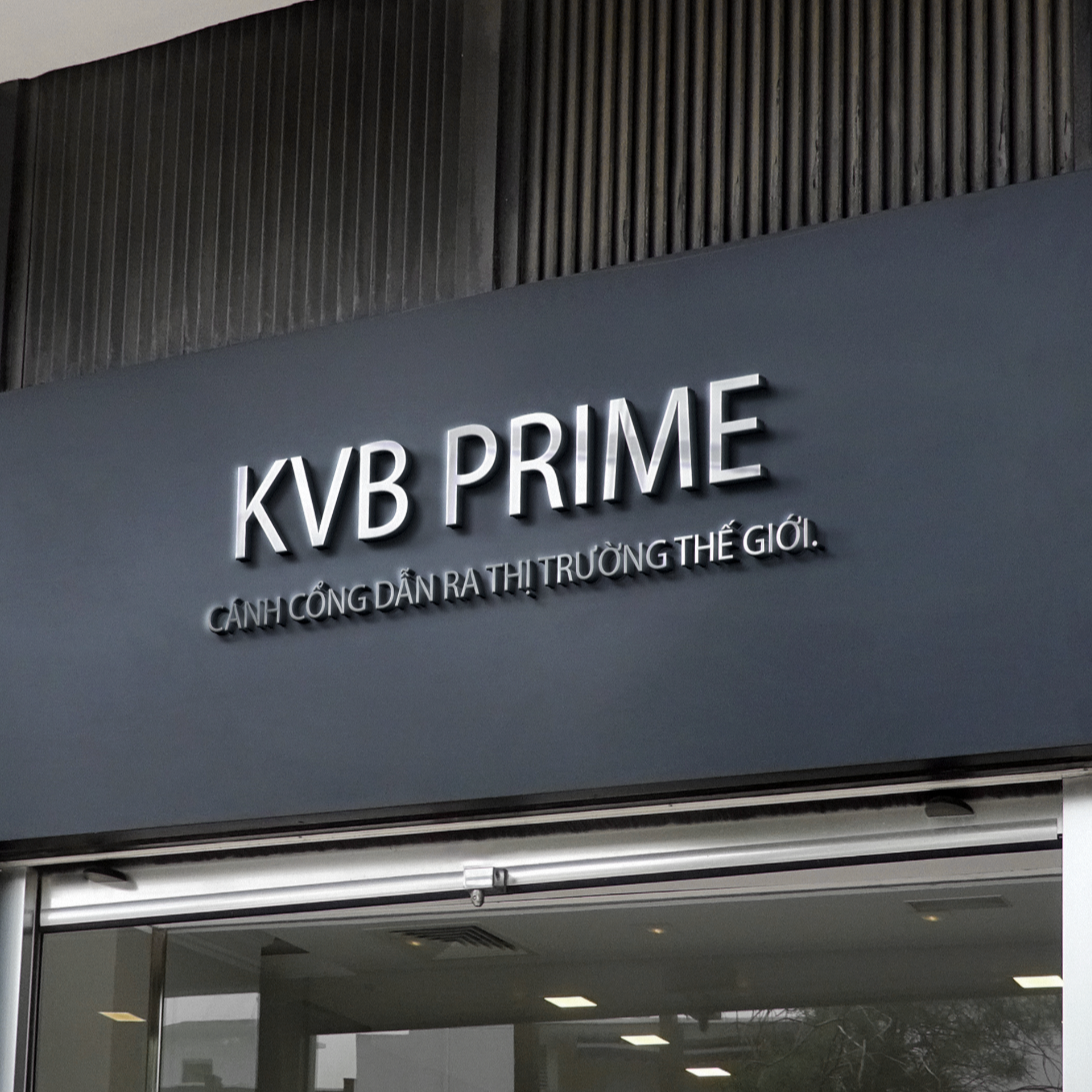 KVB THE LIGHT