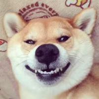 螺旋前进