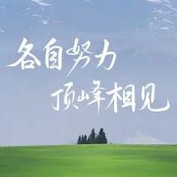 三毛浪子
