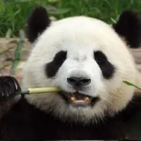 维维唯唯