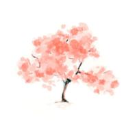 Super杨小涛