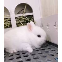 倒数第一名