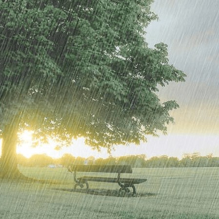 感恩圣雨