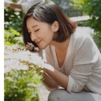 女神梭金
