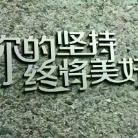 毅军哥