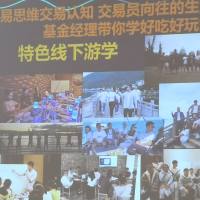 万业之王的鑫鑫