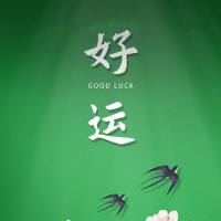 秦小甜
