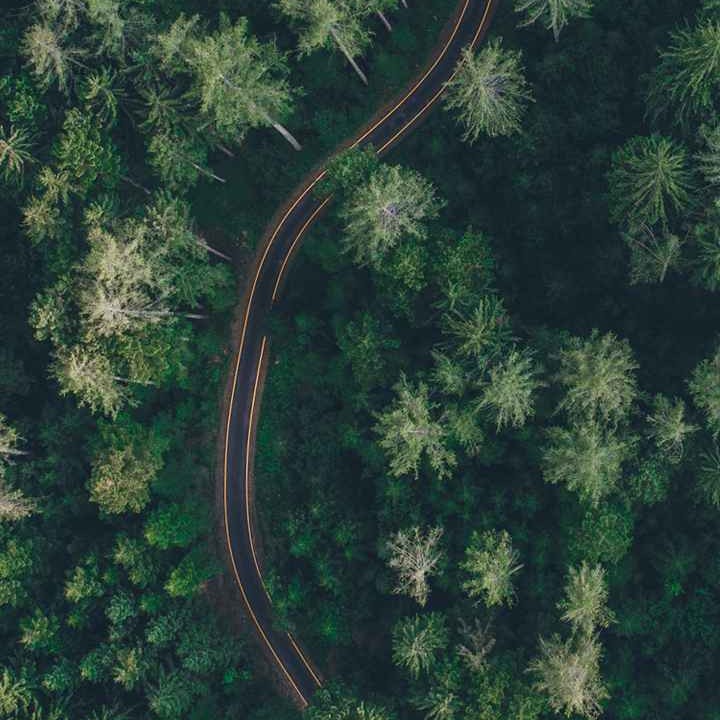 汐陽G
