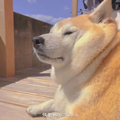 汤圆没有馅