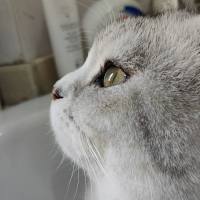 驰骋汇场①