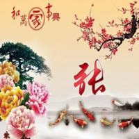 跟单侠