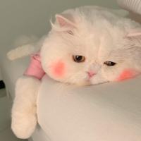 上山打鼠