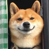 你要控计你计己