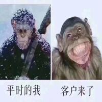 智慧创造财富