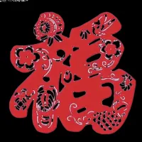 金金鑫鑫