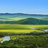 别问那么多……