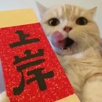 時空旅行者
