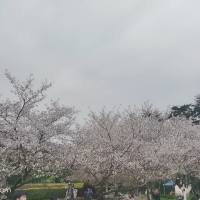 所遇皆善人