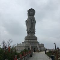 交易知易行难 外汇