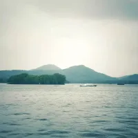 养家123